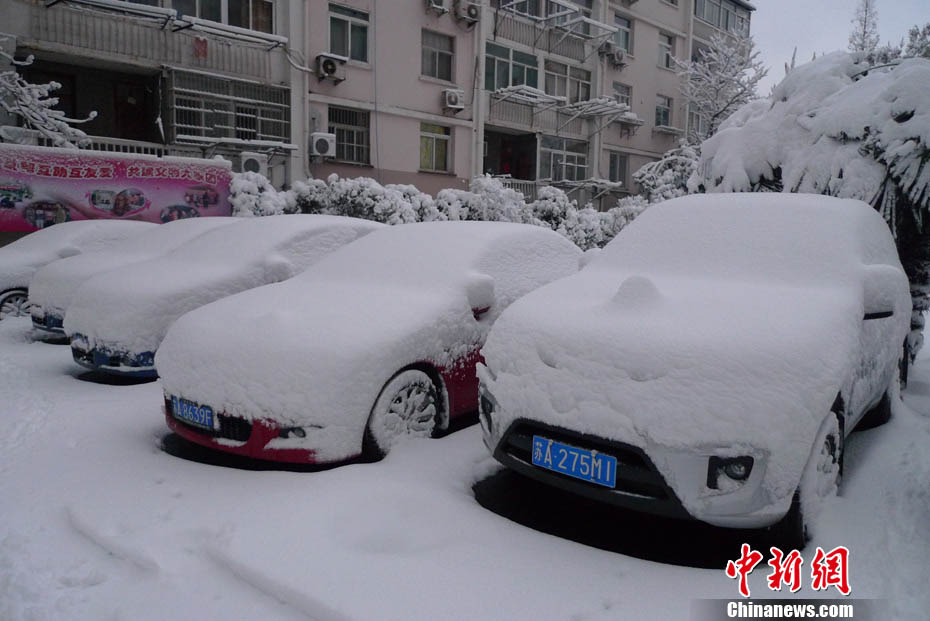 На многие районы Цзянсу обрушился снегопад  (3)