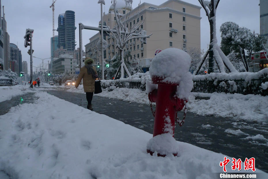На многие районы Цзянсу обрушился снегопад  (5)