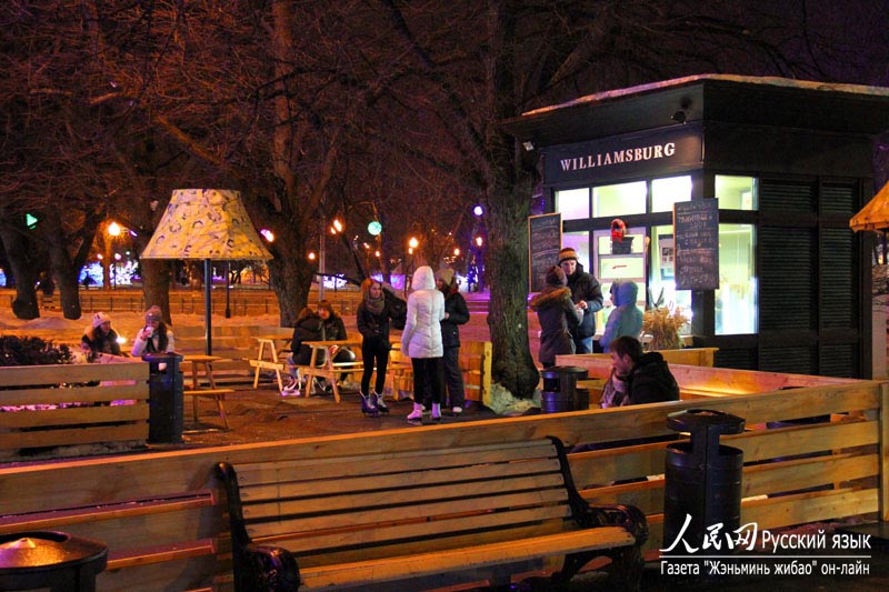 Самый большой в Европе каток в парке им. Горького в Москве (26)
