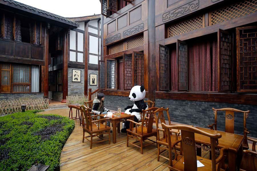 В Сычуани открыта первая в мире гостиница на тему панд (7)