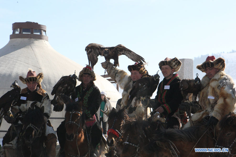 В Монголии проходит фестиваль ловчих соколов (5)