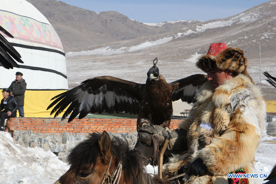 В Монголии проходит фестиваль ловчих соколов (10)