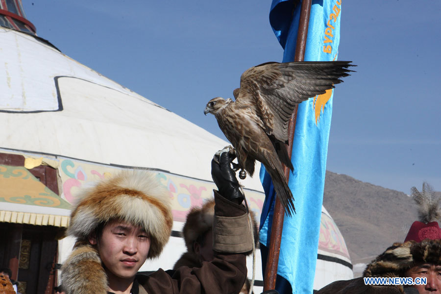 В Монголии проходит фестиваль ловчих соколов (11)
