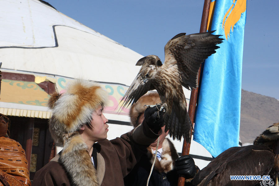 В Монголии проходит фестиваль ловчих соколов (2)