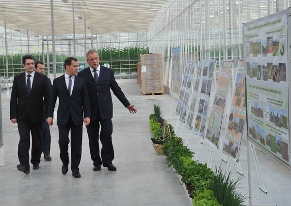 Медведев в "Новгородских теплицах" ознакомился с современными технологиями выращивания овощей и сделал несколько фотографий (3)