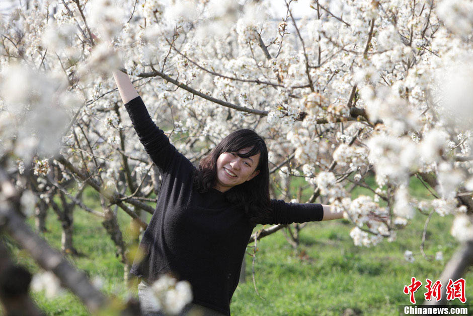 9 марта в городе Чжуцзи провинции Чжэцзян цветет вишня, туристы наслаждаются цветами и делают фотографии.