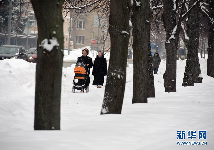 На Москву обрушился мощный снегопад  (2)