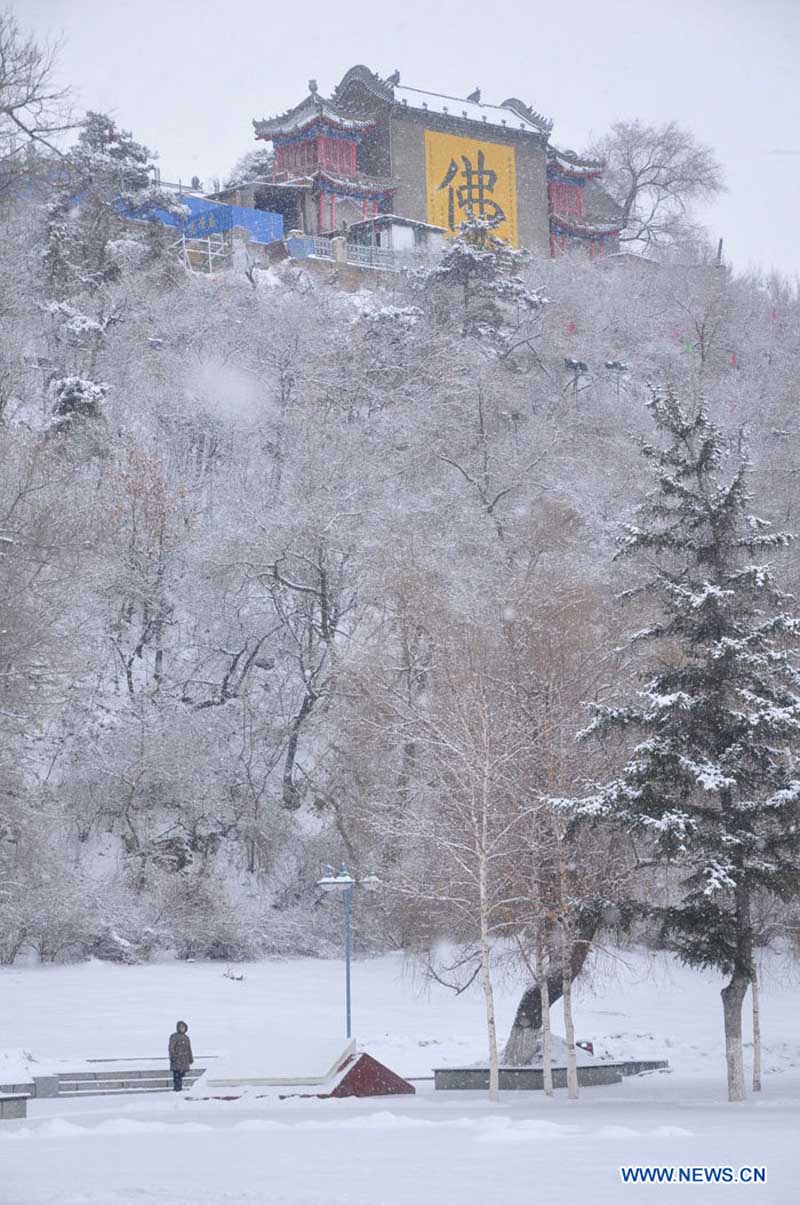 Снегопад в городе Цзилинь (4)