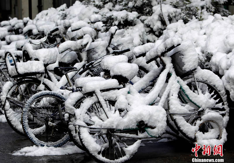 Снегопад в Пекине (6)