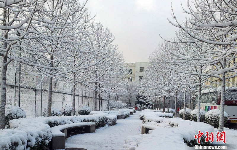 Снегопад в Пекине (7)