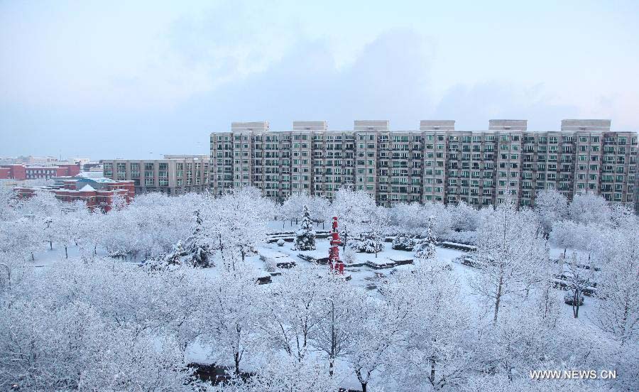 В Пекине выпал весенний снег, который очистил воздух столицы от загрязнений (2)
