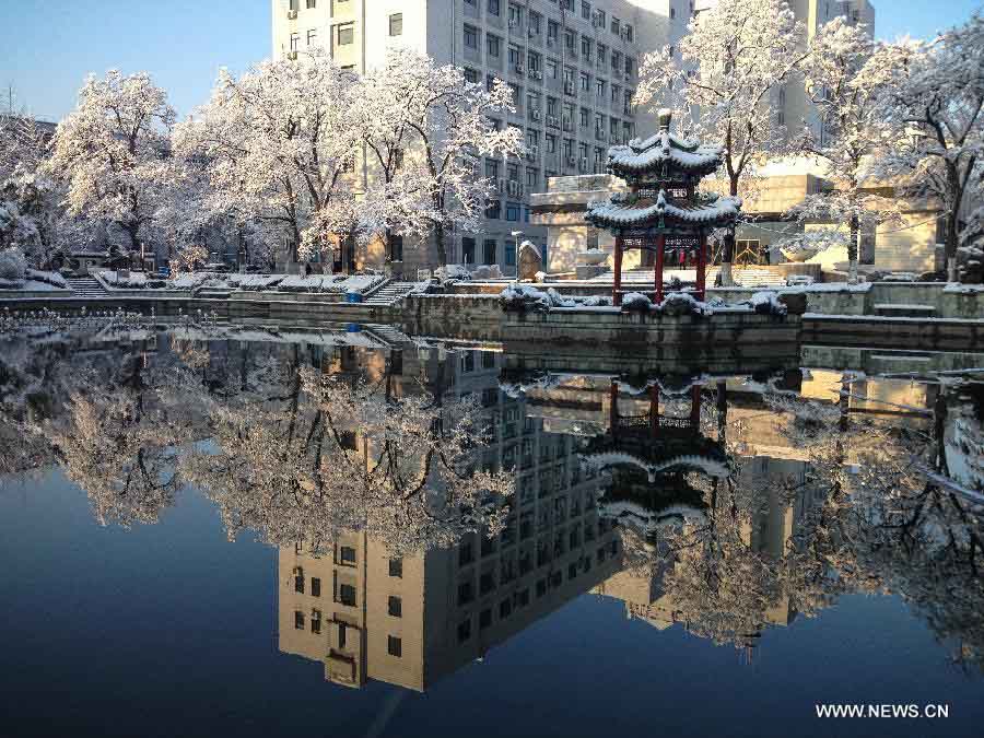 В Пекине выпал весенний снег, который очистил воздух столицы от загрязнений (3)