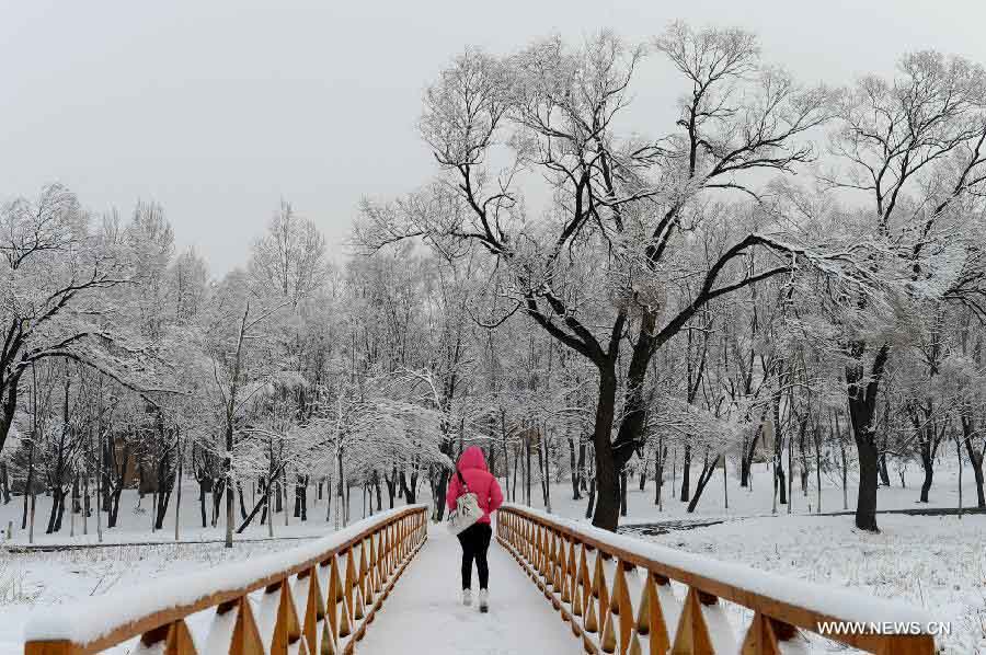 В Пекине выпал весенний снег, который очистил воздух столицы от загрязнений (18)