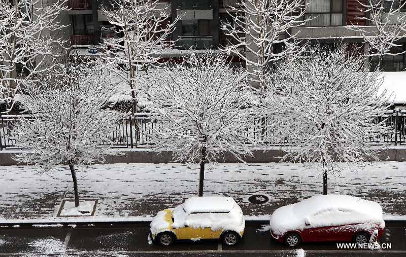 В Пекине выпал весенний снег, который очистил воздух столицы от загрязнений (7)