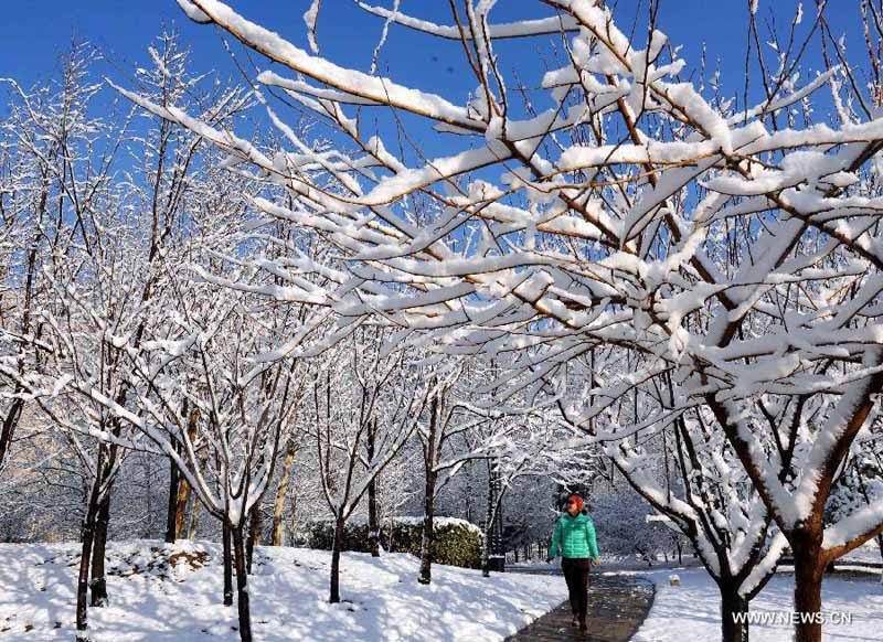 В Пекине выпал весенний снег, который очистил воздух столицы от загрязнений (12)