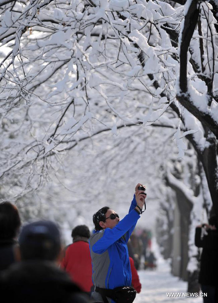 В Пекине выпал весенний снег, который очистил воздух столицы от загрязнений (15)