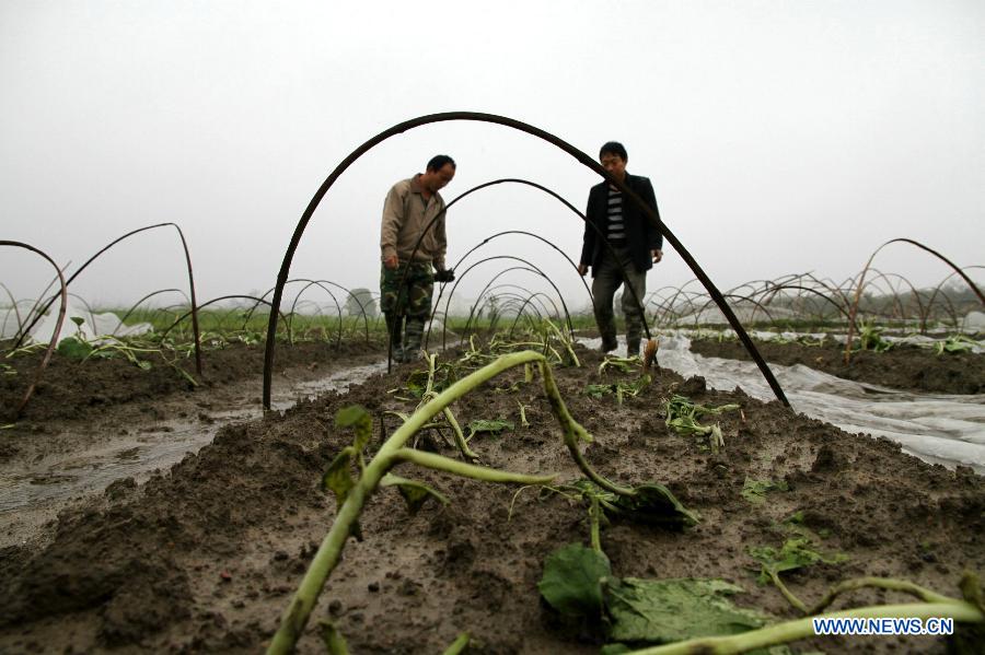 В результате новых штормов с градом в провинциях Цзянси, Хубэй, Хунань, Гуйчжоу, а также Чунцине терпят бедствие 838 тыс человек (10)