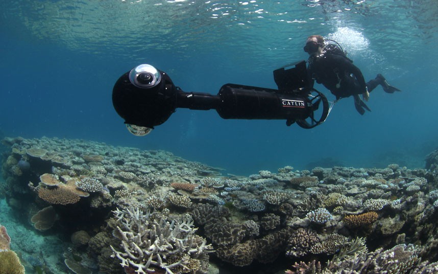 Таинственный подводный мир Большого Барьерного рифа (15)