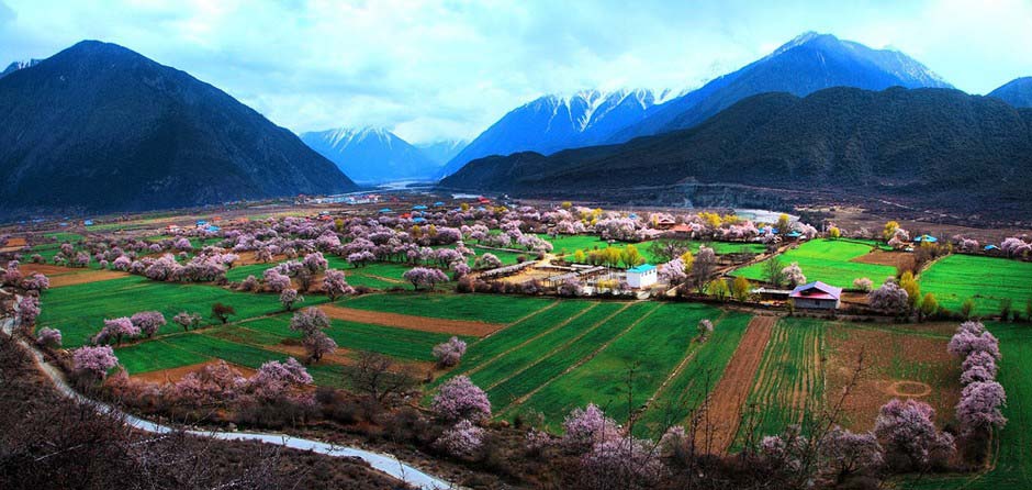 Ньингчи - самый красивый «Персиковый источник» в Тибете (7)
