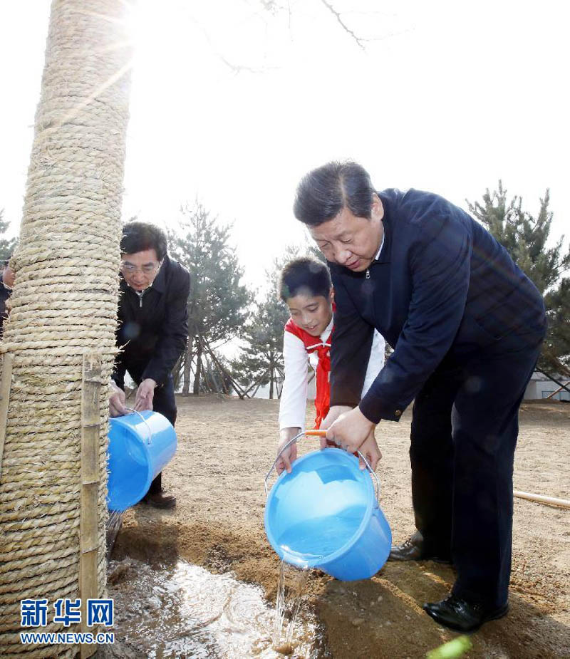 Си Цзиньпин: путем создания более благоприятной экологии построим прекрасный Китай