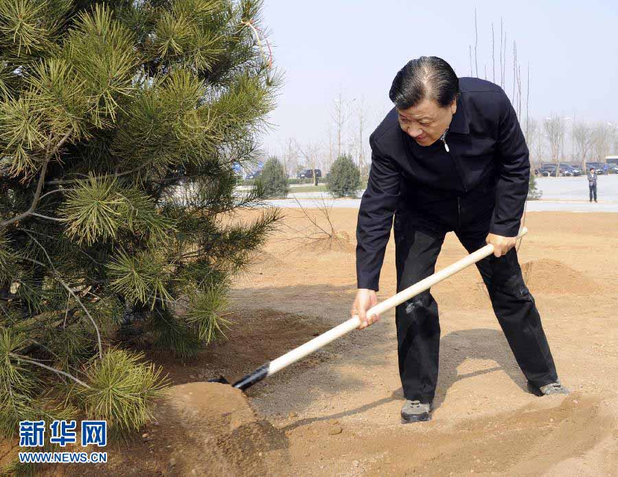 Си Цзиньпин: путем создания более благоприятной экологии построим прекрасный Китай (5)