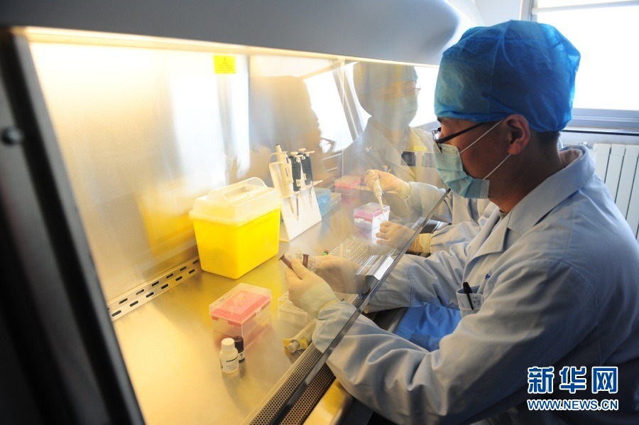 В Пекине увеличится контроль за выявлением вируса H7N9
