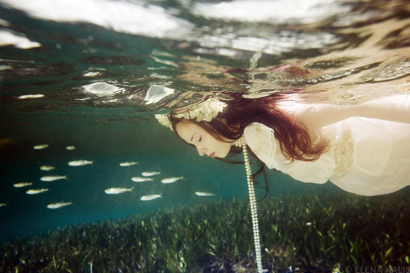 Прекрасные подводные фотографии от Elena Kalis (9)
