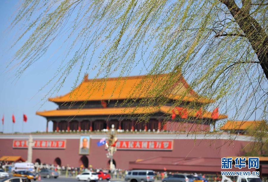 Весна в Пекине опьяняет туристов