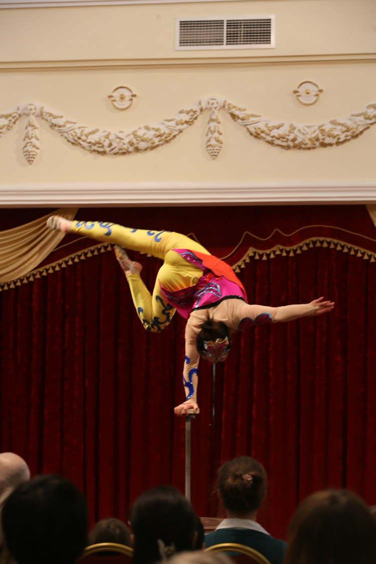 Замечательное цирковое представление в Москве (6)