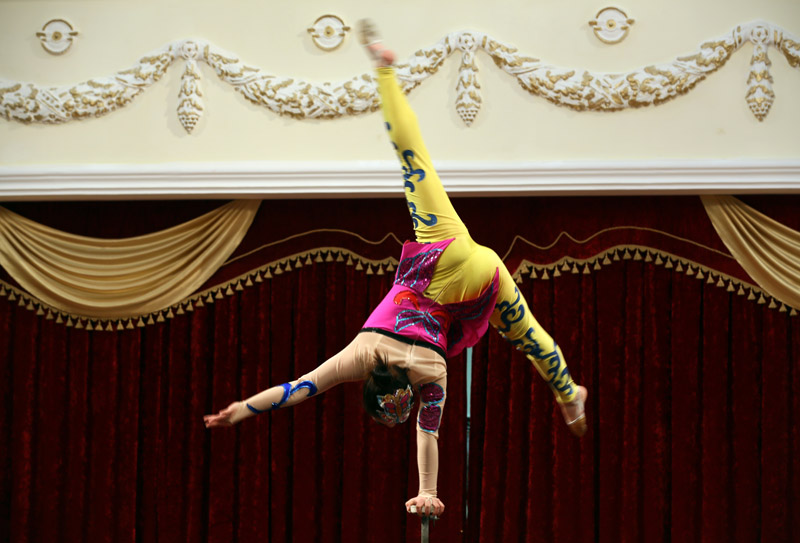 Замечательное цирковое представление в Москве (5)