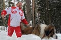 Путин поиграл в снегу с собаками