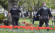 Взрывы в Бостоне в США будет расследоваться как "террористический акт"