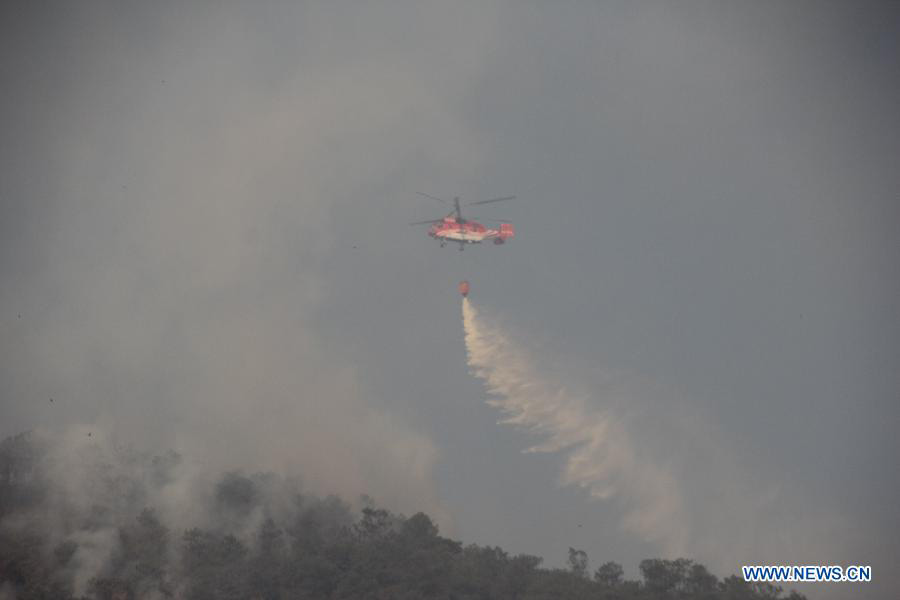 Продолжается борьба с лесным пожаром в пров. Юньнань (5)