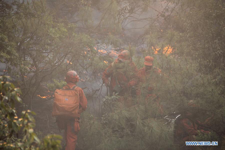 Продолжается борьба с лесным пожаром в пров. Юньнань (2)