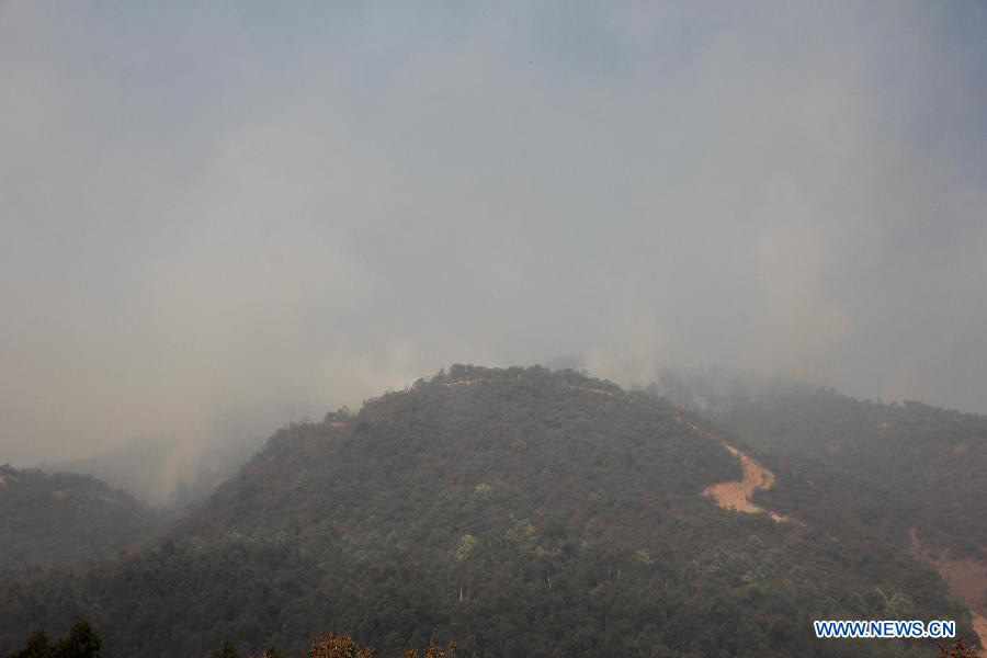 Продолжается борьба с лесным пожаром в пров. Юньнань (4)