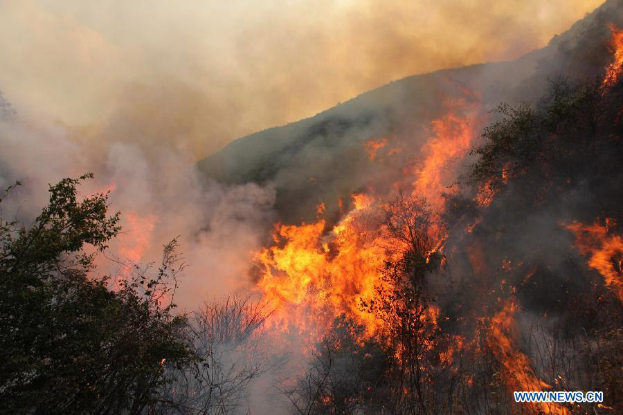 Продолжается борьба с лесным пожаром в пров. Юньнань (3)