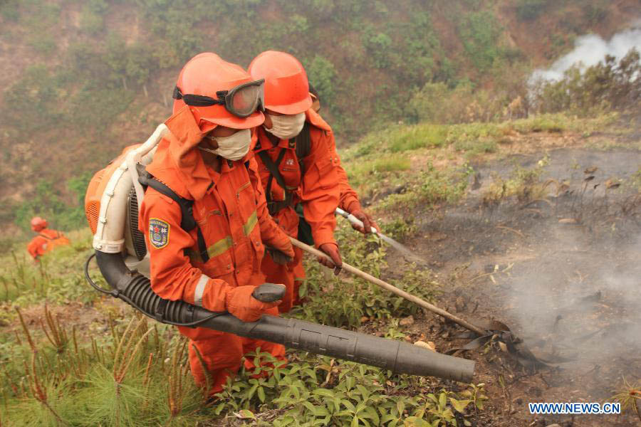 Продолжается борьба с лесным пожаром в пров. Юньнань