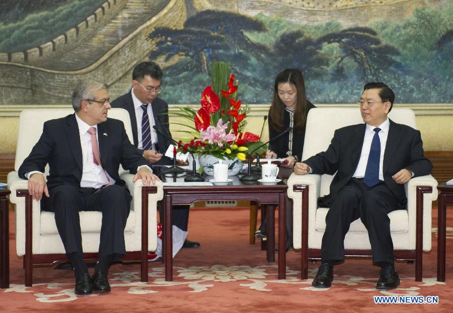 Чжан Дэцзян встретился с председателем Палаты депутатов Аргентины Хулиан Домингесом