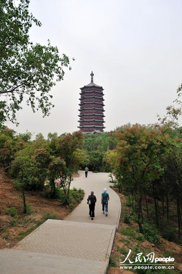 Начался обратный отсчет времени до Пекинской ярмарки садово-паркового искусства (9)