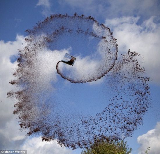 «Полет жидкости в воздухе» от бельгийского фотографа Manon Wethly (9)