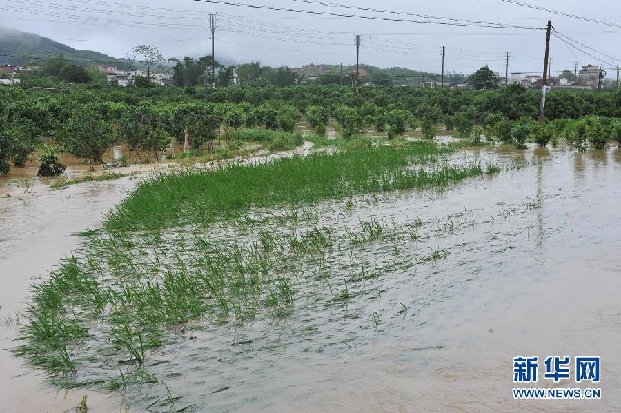 На юге Китая в результате проливных дождей погибли 55 человек, 14 пропали без вести (18)