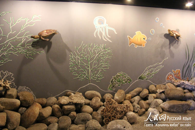 Музей раковин в бухте Ялунвань в городе Санья: очарование спокойного подводного мира (13)