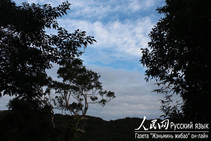 Лесной парк «Тропический рай» в городе Санья (7)