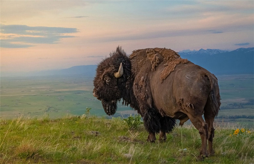 Отличные работы фотоконкурса Журнала «National Geographic Traveler» (4)