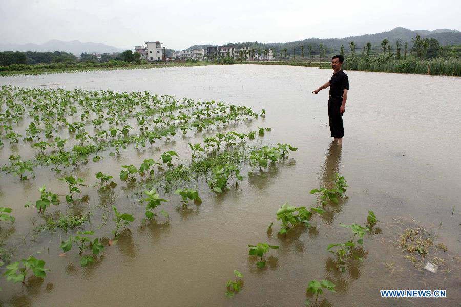 230 тыс человек пострадали в результате проливных дождей в Восточном Китае (6)