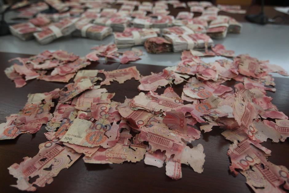 Термиты сгрызли 400 тыс. юаней (5)