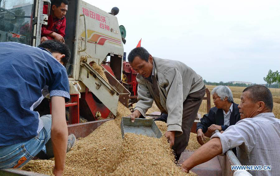 В Китае выполнено свыше 60 процентов работ по сбору пшеницы
