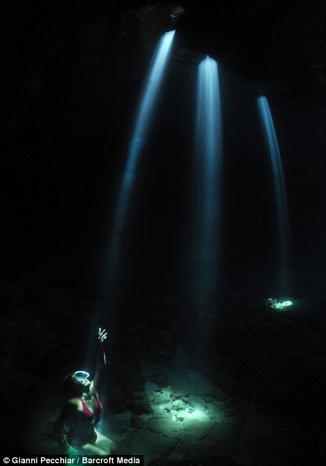 Работы с конкурса подводной фотографии "DEEP Indonesia 2013" (21)