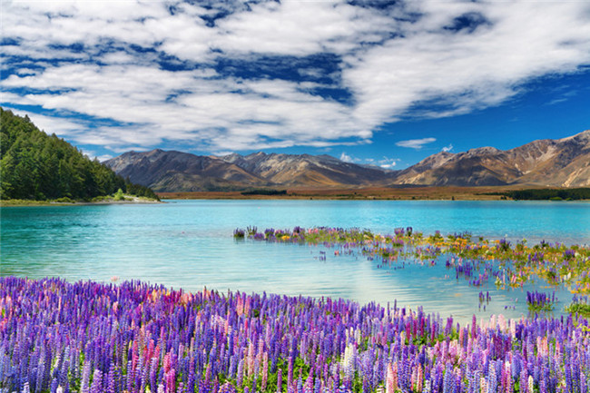 7 красивых озер в Новой Зеландии (3)