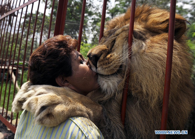Основательница приюта для животных Анна Джулия Торрес целует своего питомца льва Юпитера.